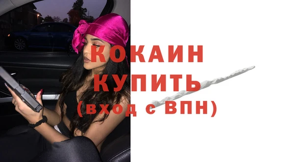 прущие грибы Арсеньев