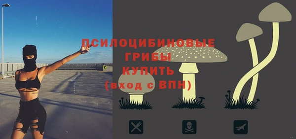 тгк Аркадак