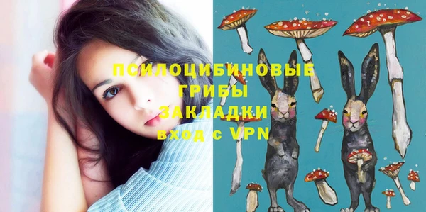прущие грибы Арсеньев