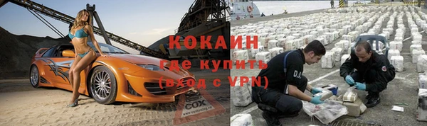 прущие грибы Армянск
