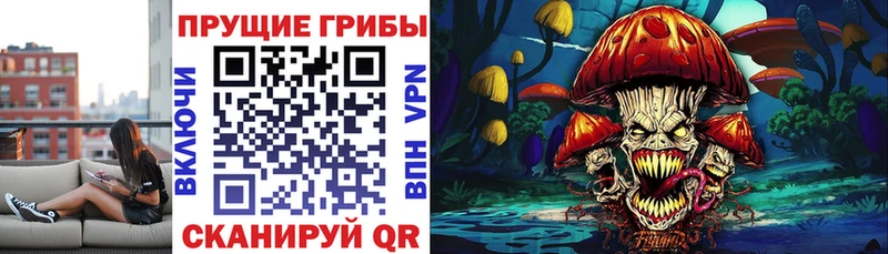 Псилоцибиновые грибы GOLDEN TEACHER  нарко площадка состав  Белинский 